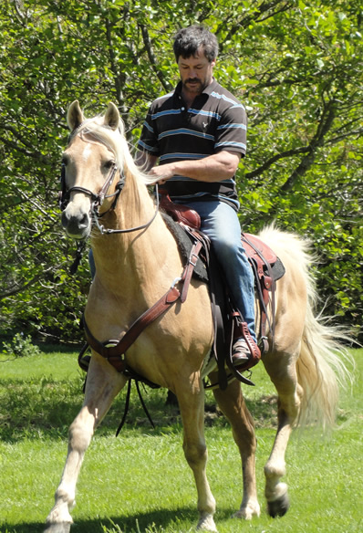 Paul Nation - Missouri Foxtrotter Breeder